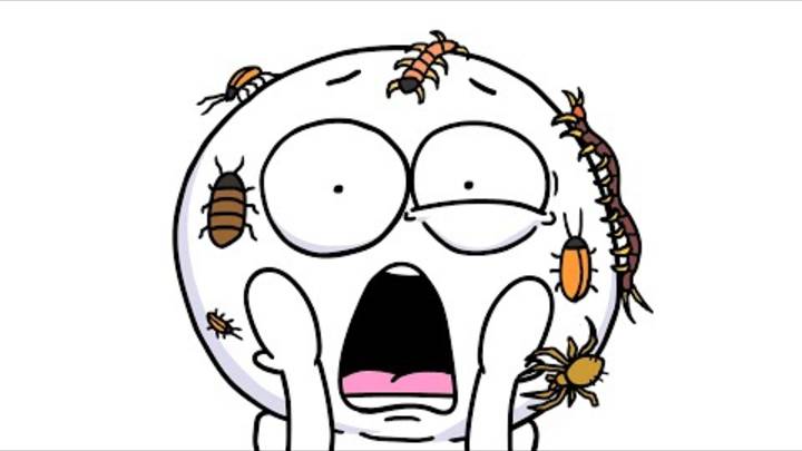 НАПАДЕНИЯ НАСЕКОМЫХ Анимация смотреть онлайн