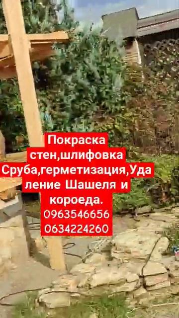 Покраска стен сруба Выполним Одесса 20.10.24 смотреть онлайн