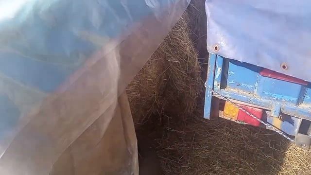 Заготовили сено назиму. смотреть онлайн