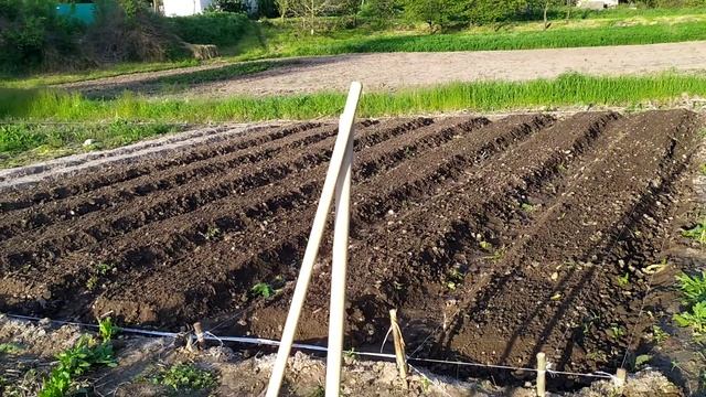 2021-05-22 Первый участок для посадки готов! смотреть онлайн