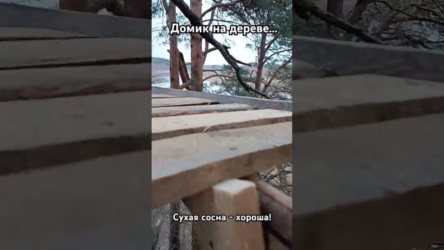 Домик на дереве в ГИП формате от мейкерсокого бюро "Ус? смотреть онлайн