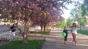 Красноярск. Прогулки по городу .Весна