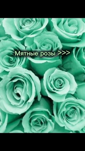 Какой цвет слудующий?)) #capcut #р_е_к_о_м_е_д_а_ц_и_и #мем #вре смотреть онлайн