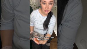 Кролик не ест или как насильно выкормить кролика