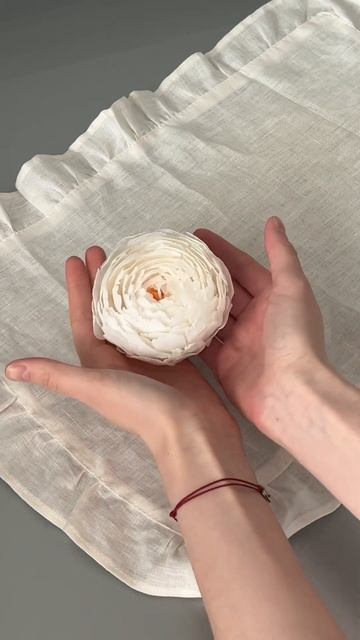 Белый пион🤍 inst: joidy.store #aesthetic #candle #свечи #peony #white #inspiration смотреть онлайн