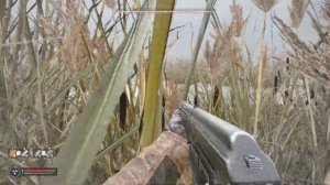 Сталкер 2. Как добраться до базы Чистого Неба, на Болот?