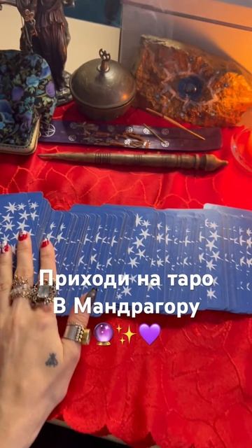 Что Сарон делает в Мандрагоре 😄 #кофейняспб #мандраго смотреть онлайн