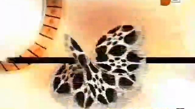 Ел арна-2008. Заставка кино. смотреть онлайн