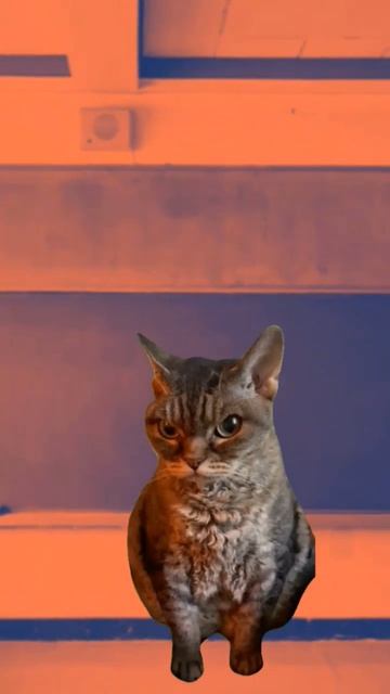 у нас в классе есть Петров Арслан он очень плохой он на смотреть онлайн