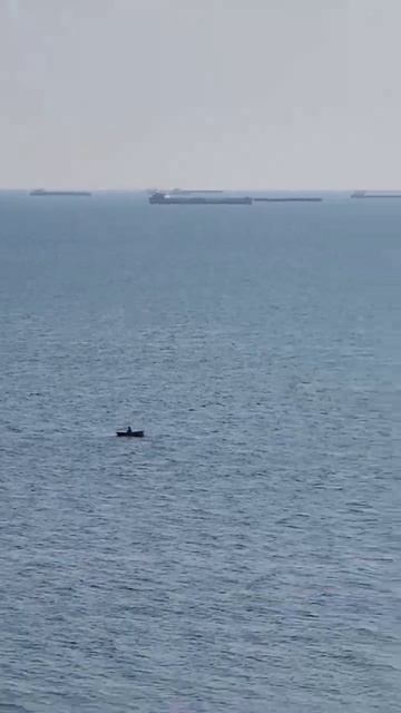 Наш зелёный уголок в Осовинской степи #крым #степь #кер смотреть онлайн