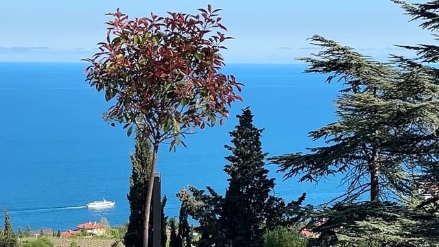 Ялта. Панорамные виды с общественной территории по ул. Сеченова. 05.05.2025. Крым. Crimea. Yalta. смотреть онлайн