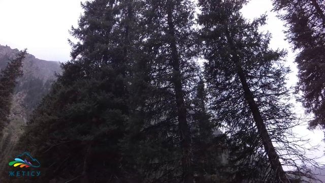 Там, где нет следов автомобильных шин! Левый Талгар 4К