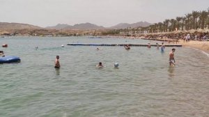 ШАРМ Эль шейх ПОГОДА 23 апреля #египет2025