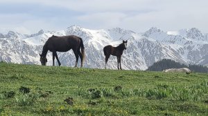 Киргизия 2024