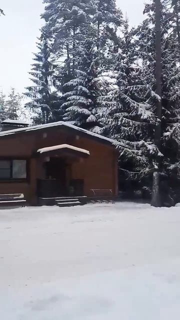 ☃️Рождество в зимнем Охта Парке/Санкт-Петербург/🌨🎄 смотреть онлайн