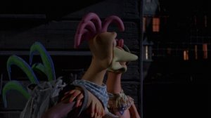 Побег из курятника. Знакомство с Рокки