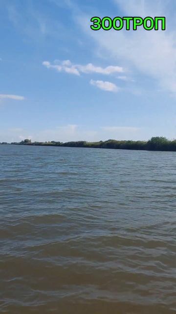 Река Днестр. Путешествие в мертвый лес. Рыбалка. Туриз? смотреть онлайн