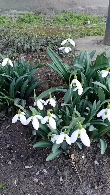 Нежность в чистом виде 😍😘😍 #remix #music #crimea #крым #nature #п? смотреть онлайн