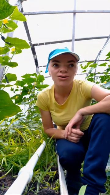 начинающий огородник, фермеры 🍅🥒#огород#теплицы#огу смотреть онлайн