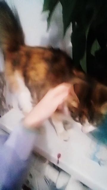 оххх.....у кого тоже есть такая улитка...? смотреть онлайн