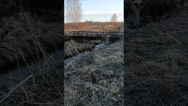 Пошли гулять с подругой по деревне