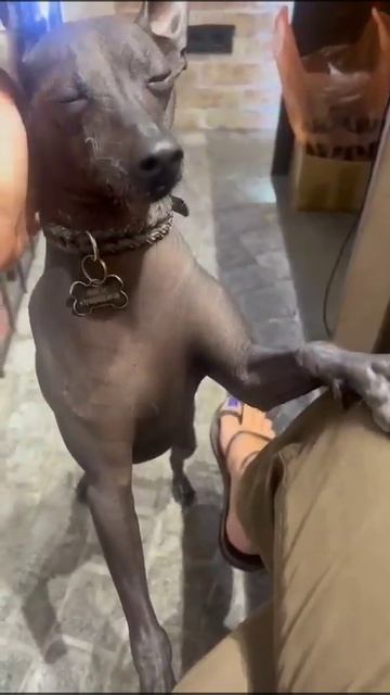 28 июля 2024 г. смотреть онлайн