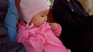 Сады Мечты в г. Абакане