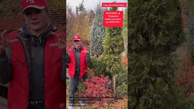 Щоб НЕ ЗАГИНУЛИ ХВОЙНІ.Це важливо.Вологощарядковий по смотреть онлайн
