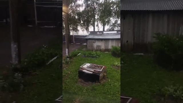 в этом году дорогие друзья свалились ветка огромная и? смотреть онлайн