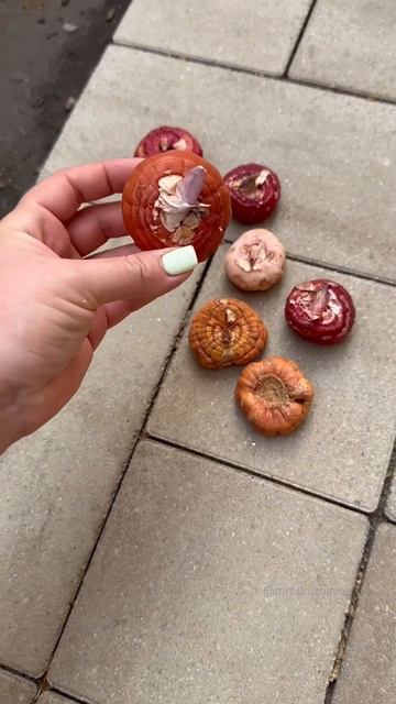 Шикарные луковицы гладиолусов 🌺 #огород #растения #са смотреть онлайн