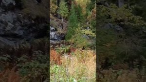 ПЕРМСКИЕ ПЕЙЗАЖИ