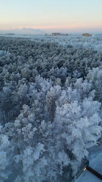 Горячие источники в Тюмени #Тюмень #dronevideo #сибирь #Siberia смотреть онлайн