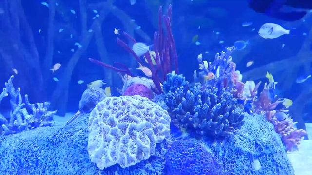 Истории из жизни. Спустя много лет вспомнила, кто я ест смотреть онлайн