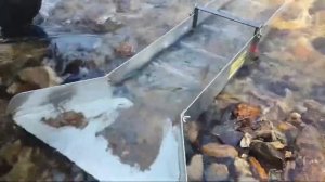 Опытный Старатель  по тихому моет золото с Дипсис !