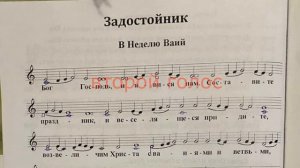 задостойник недели ваий. вербное воскресенье