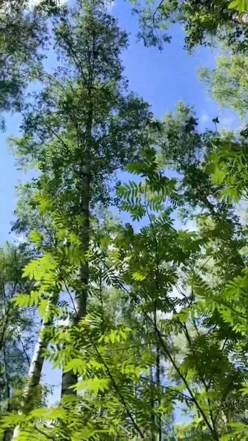 Обернись, посмотри, ведь прекрасное рядом смотреть онлайн