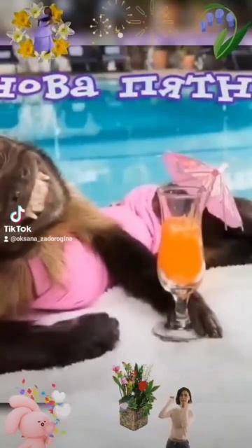 #приколы #пятница #shorts смотреть онлайн