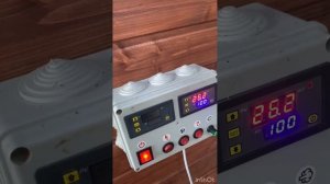 Куриные бедра горячего копчения экспресс рецепт