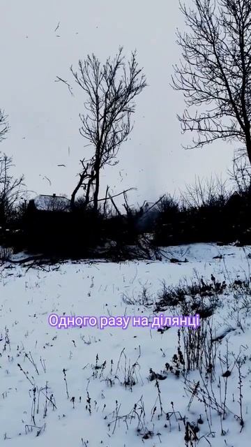 Ви тільки погляньте на це падіння Акації 💥💥 #shorts #ака смотреть онлайн