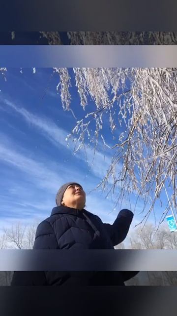 самая красивая береза смотреть онлайн