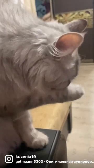 Кто не пьет ! Тот ест 😂 смотреть онлайн