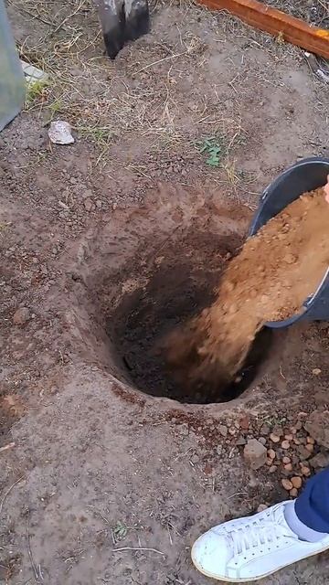 На новом участке посадили деревья! Будем ждать урожай) смотреть онлайн