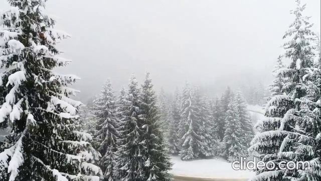 Зима, зима смотреть онлайн