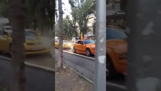 ЦИРК ШАПИТО DEMIDOV В АЛМАТЫ смотреть онлайн