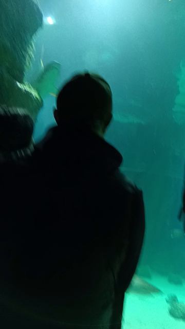 я в акеанариуме смотреть онлайн