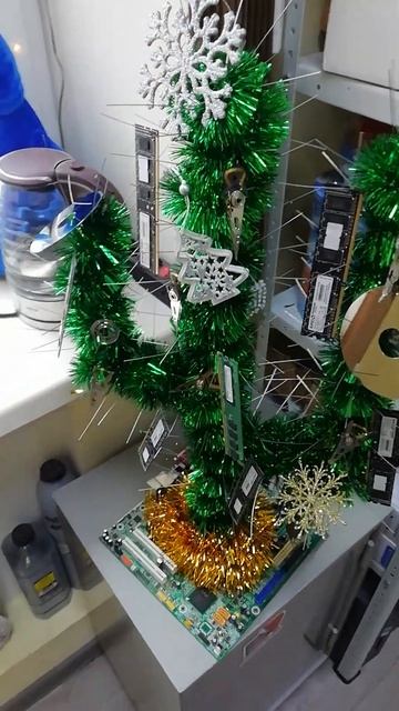 VID 20231228 135739 #cactus #shorts #новыйгод #елка смотреть онлайн