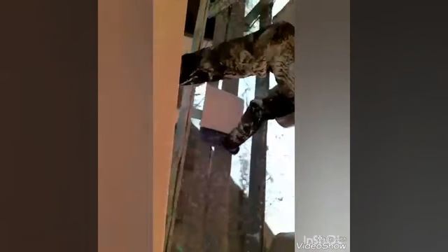 Русские качели смотреть онлайн