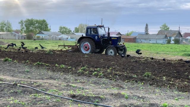 1003.🎼. Хор им. Пятницкого - «Прокати нас Петруша на тракторе» смотреть онлайн