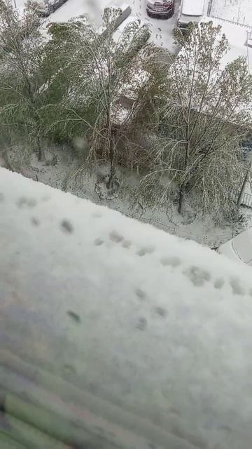 В Москве выпал снег 2.05.2025 года смотреть онлайн