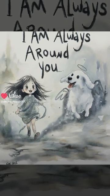 Я всегда около тебя 😇 #собака #puppy #dog #щенок #kennel_biewerdorf_b смотреть онлайн